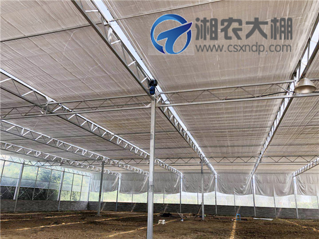 五桂山连栋温室大棚