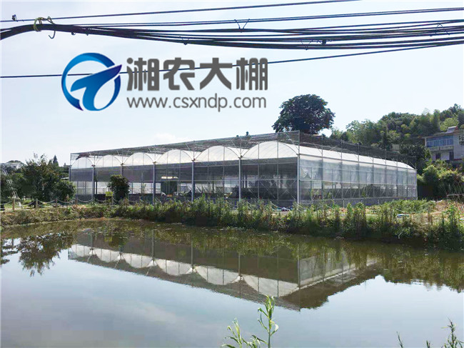 五桂山连栋温室大棚 (3).jpg