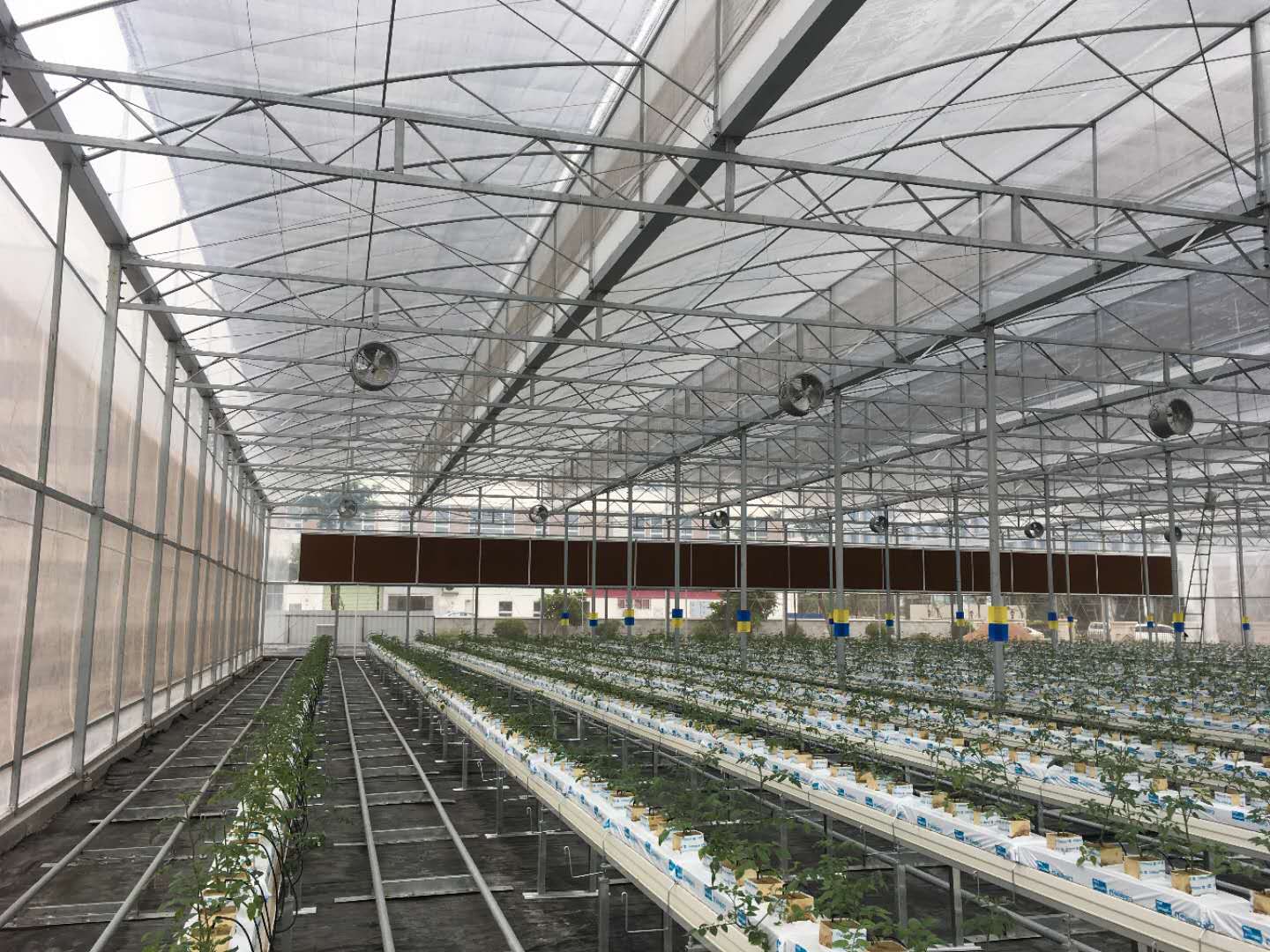 广州中山种植大棚