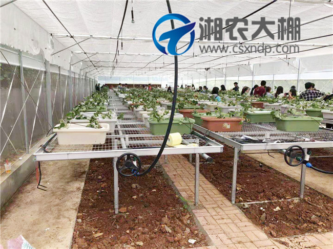 益阳职业学院 (2).jpg